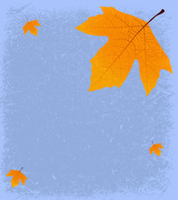 Blue Autumn Background