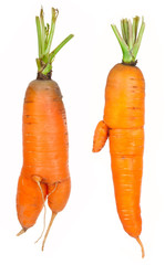 Canvas Print - Ripe carrots