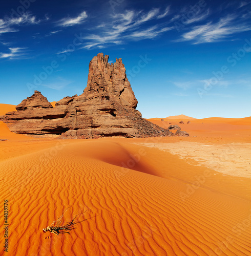 Foto-Duschvorhang - Sahara Desert, Algeria (von Dmitry Pichugin)