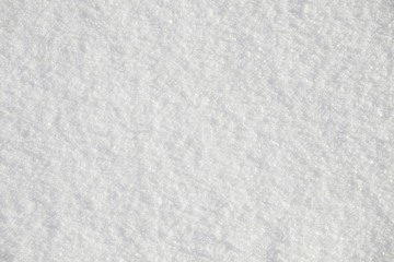 Canvas Print - snow background