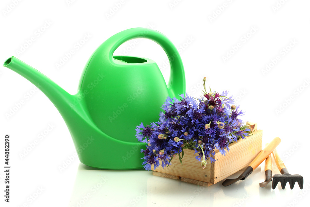 watering can, tools and flowers isolated on white