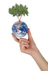 Wall Mural - Tree on Earth as a symbol of peace.Elements of this image furnis