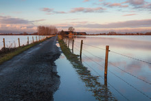 Road To A Dutch Farm Flooded By Water From The River IJssel