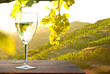 Weinglas bei Sonnenuntergang im Weinberg 