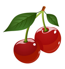 Sticker - Vector illustration of cherries