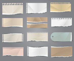 Aufkleber - Collection of various note papers vector