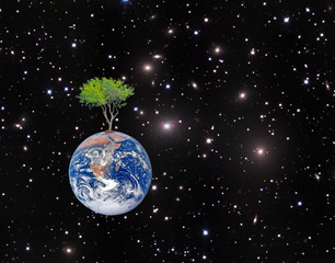 Wall Mural - Earth.Elements of this image furnished by NASA