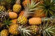 Fresh pineapples, full frame