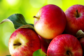 ripe red apples on table