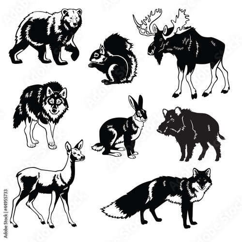 Naklejka dekoracyjna set of forest animals black and white