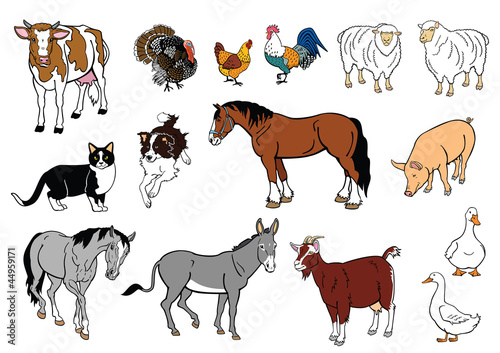 Obraz w ramie set of farm animals isolated on white