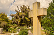 © Jackie DeBusk - Bonaventure Cemetery in Savannah Georgia