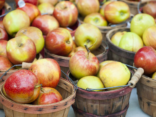 Wall Mural - Apples