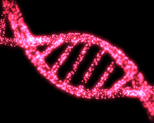 Poster - Pink DNA Helix