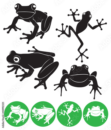 Fototapeta do kuchni frog