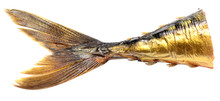 Fish Tail