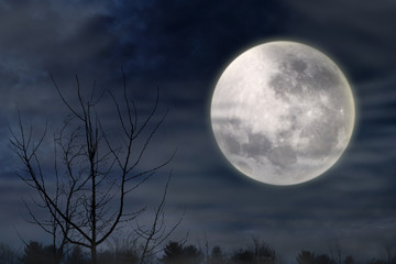 scary night with full moon