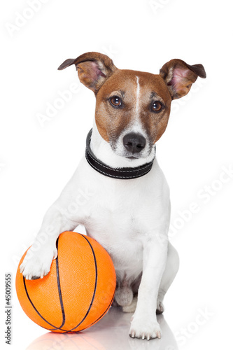 Foto-Duschvorhang nach Maß - Basket ball  winner dog (von Javier brosch)