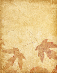 Sticker - old  paper  with autumn  leaves