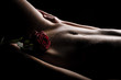 Leinwanddruck Bild - Nackter Bauch mit Rose