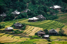 Village In The Terraced Fields, Mu Cang Chai District, Yen Bai P