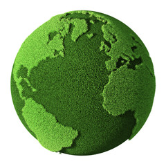 grass globe