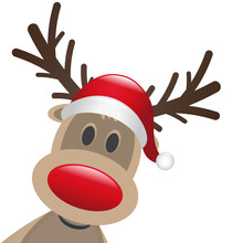 Rudolph Reindeer Red Nose And Hat