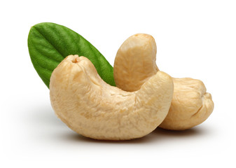 Poster - Cashew and leaves