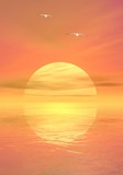 Fototapeta Zachód słońca - Seagulls by sunset