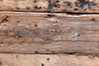 Old wooden background wall