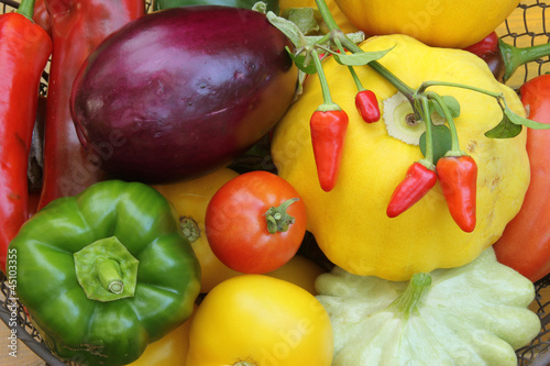 Naklejka na szybę Mediterranes Gemüse