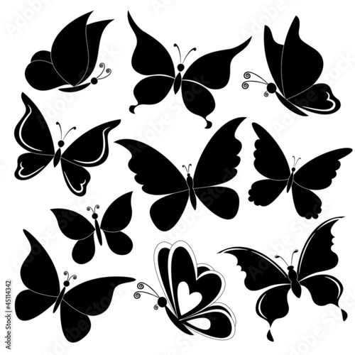 Obraz w ramie Butterflies, black silhouettes