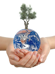 Wall Mural - Gift of Earth.Elements of this image furnished by NASA