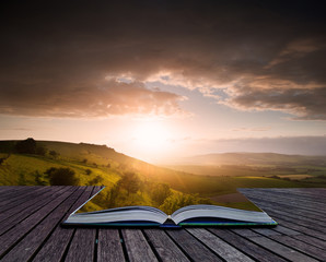 Wall Mural - creative concept image of summer landscape in pages of book