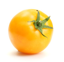 Yellow Tomato Isolated On White