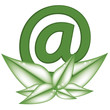 Green Web Icon