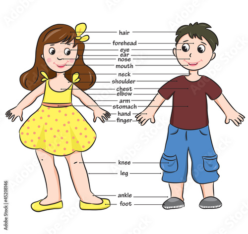 Obraz w ramie Cartoon boy and girl. Vocabulary of body parts.