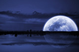 Moon over the lake