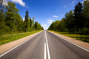 Wall Mural - asphalted road (spring)