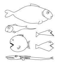 Humorous Drawing Fish.