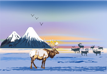 Wall Mural - winter landscape with deers near mountains