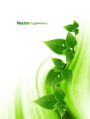 Wall Mural - eco natural green lives stylish wave vector background