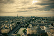 View on Paris skyline from Notre Dame de Paris
