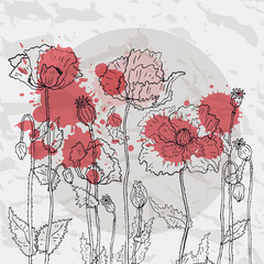 Poster - Red poppies on a crumpled paper background