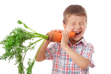 Little Boy Biting The Carrot