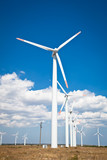 Fototapeta  - Wind turbines farm