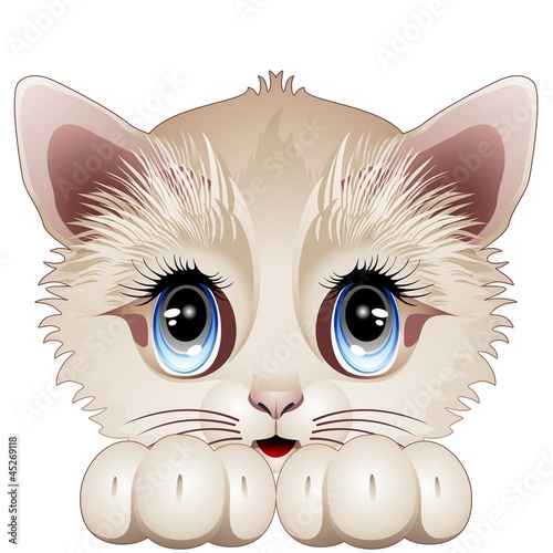 Naklejka na meble Cute Kitten Cartoon Character-Gatto Gattino Cucciolo-Vector