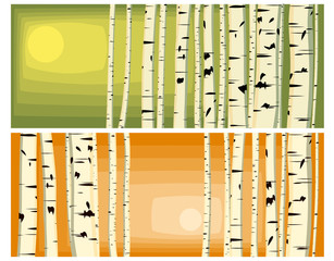 Wall Mural - Horizontal illustrations of trunks birches.