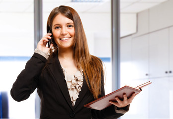 Wall Mural - Busy businesswoman portrait