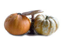 Potirons Champignons Fruits D'automne